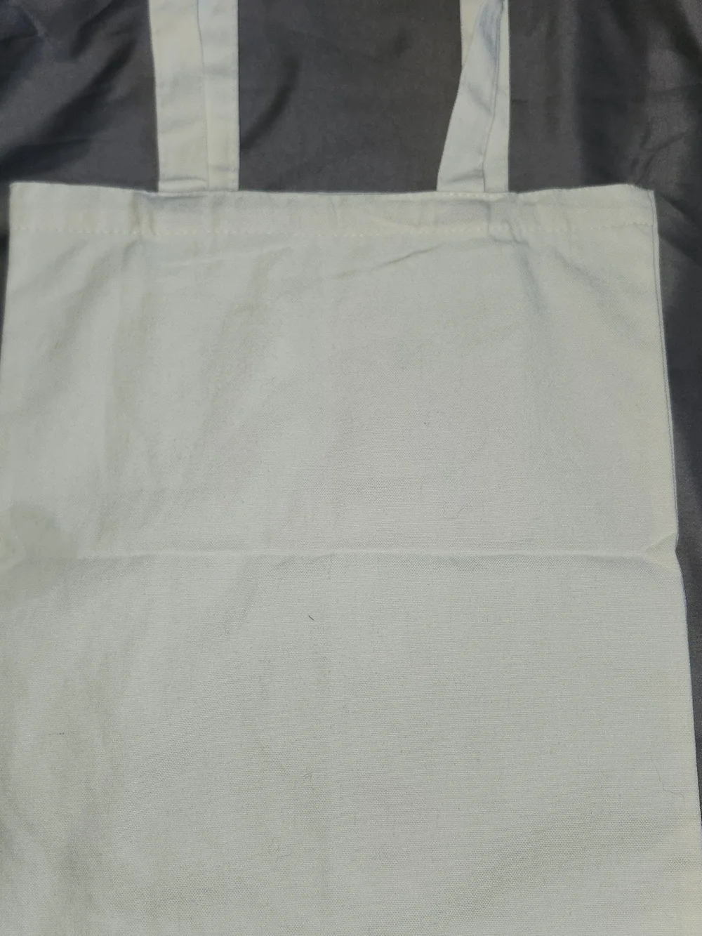 TAYLOR SWIFT Canvas Tote Bag with 'The Eras Tour' Graphic - White